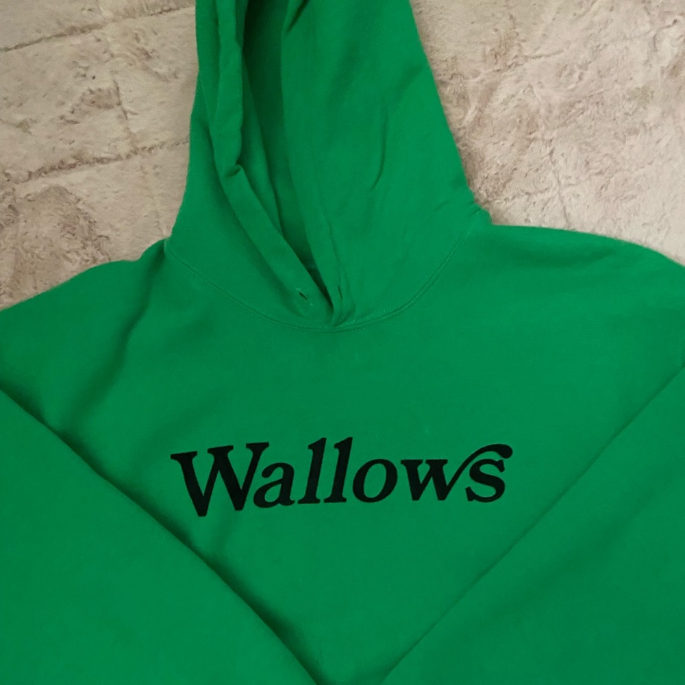 Wallows hoodie ! Worn a few times just trying to get rid of :)